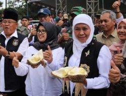 Perkuat Ketahanan Pangan Lokal, Desa Kandangan Lumajang Gelar “Festival Lahar Polo Pendem